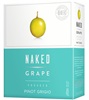 Naked Grape Bag In Box Pinot Grigio