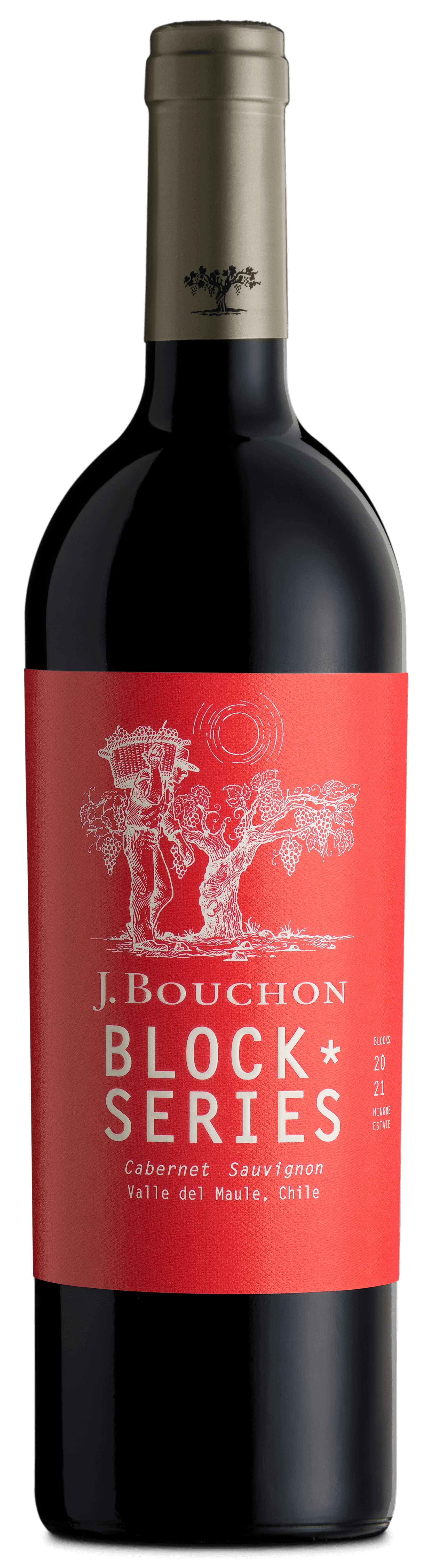 J Bouchon Block Series Cabernet Sauvignon 2015 Expert Wine Review 