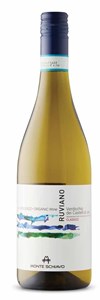 Monte Schiavo Ruviano Verdicchio dei Castelli di Jesi Classico 2023