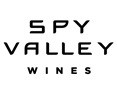 Spy Valley