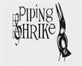 Piping Shrike