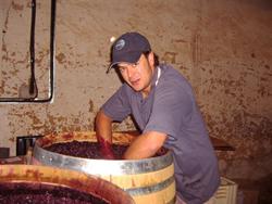 Winemaker