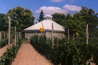 Long Dog Vineyard