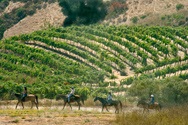 Cooper-Garrod Estate Vineyards