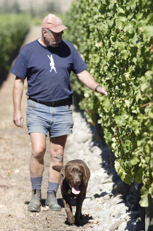 Blind River Wines
