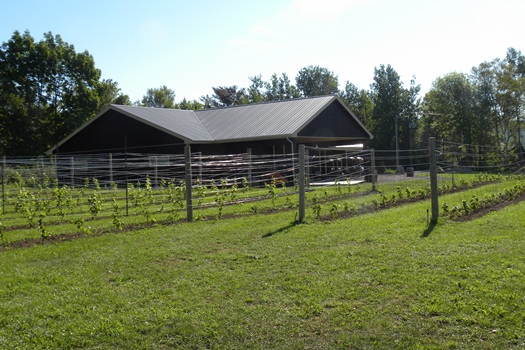 Dunhams Run Estate Winery