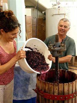 Winemaker
