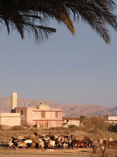 Neot Smadar Winery