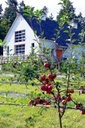 Sea Cider Farm & Ciderhouse