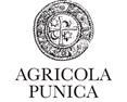 Agricola Punica
