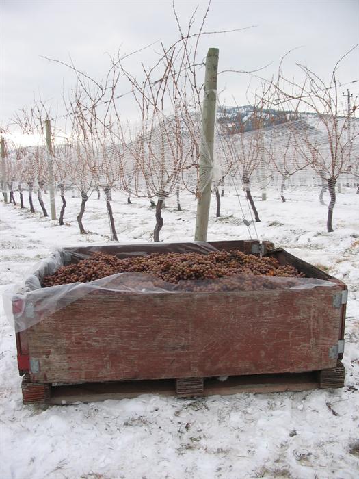 Paradise Ranch Wines Corp.