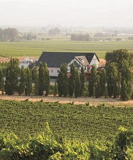 Schug Carneros Estate