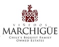 Vinedos Marchigüe