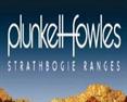 Plunkett Fowles