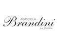 Brandini