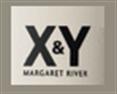 X & Y
