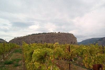 Dunham & Froese Estate Winery