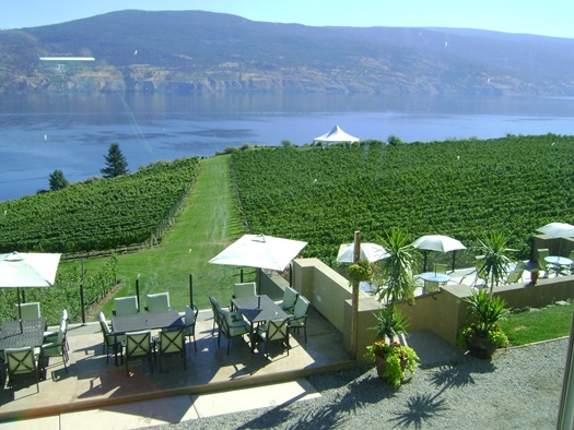 Bonitas Winery