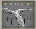 Black Cordon Vineyards