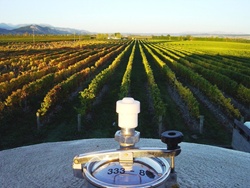 Winemaker