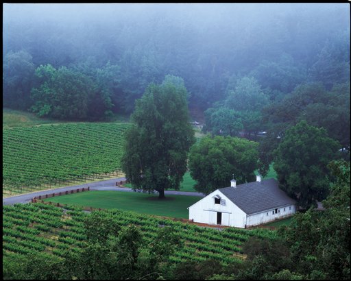 MacMurray Estate Vineyards