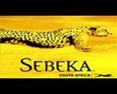 Sebeka