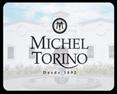 Michel Torino