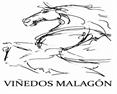 Viñedos Malagon and B&B