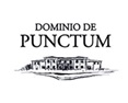 Dominio de Punctum