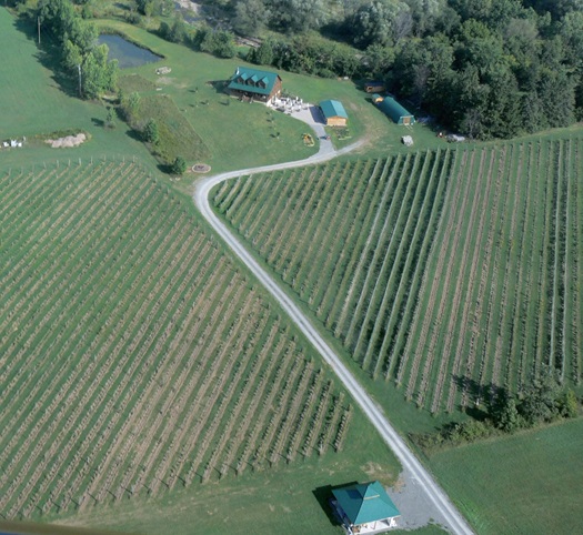 Jabulani Vineyard & Winery