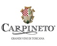 Carpineto