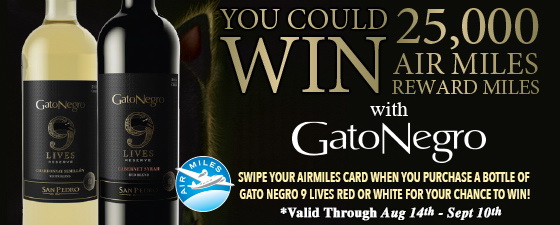 Gato Negro Newsletter 2.jpg