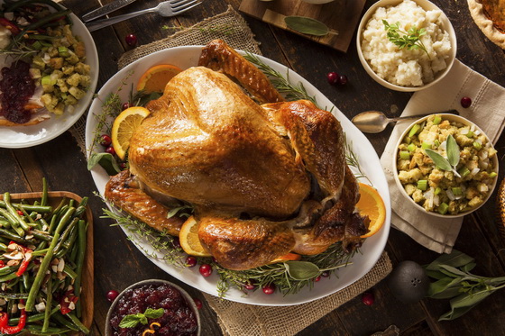 turkey Thanksgiving fall.jpg